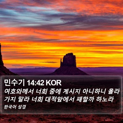 민수기 14:42 KOR Bible Verse Image