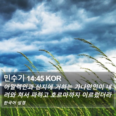 민수기 14:45 KOR Bible Verse Image