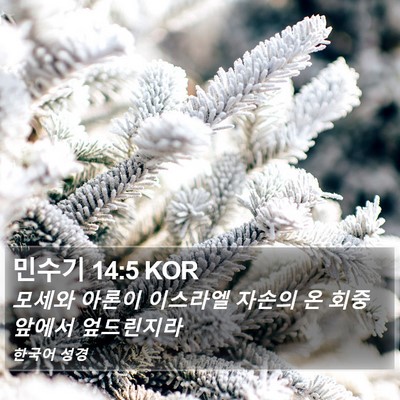 민수기 14:5 KOR Bible Verse Image