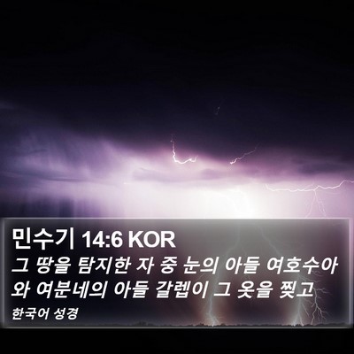 민수기 14:6 KOR Bible Verse Image