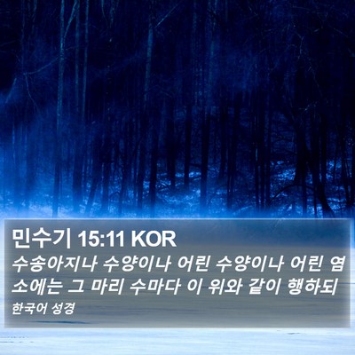 민수기 15:11 KOR Bible Verse Image