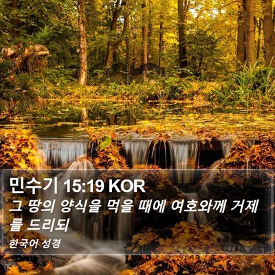 민수기 15:19 KOR Bible Verse Image