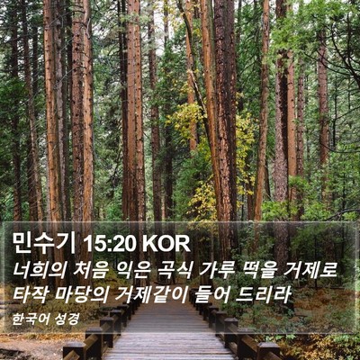 민수기 15:20 KOR Bible Verse Image