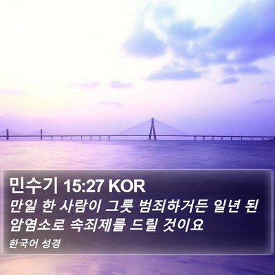 민수기 15:27 KOR Bible Verse Image