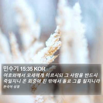 민수기 15:35 KOR Bible Verse Image