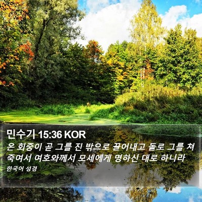 민수기 15:36 KOR Bible Verse Image