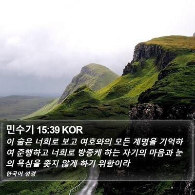 민수기 15:39 KOR Bible Verse Image