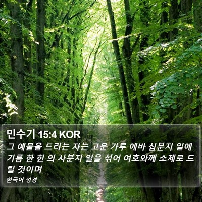 민수기 15:4 KOR Bible Verse Image