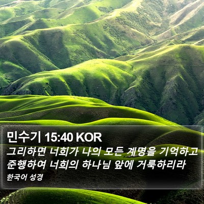 민수기 15:40 KOR Bible Verse Image