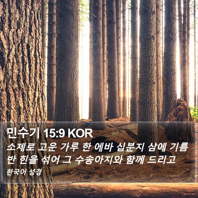 민수기 15:9 KOR Bible Verse Image