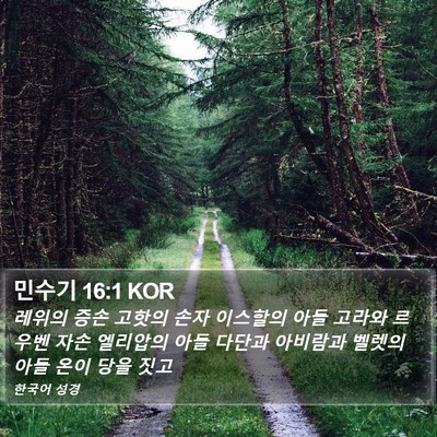 민수기 16:1 KOR Bible Verse Image