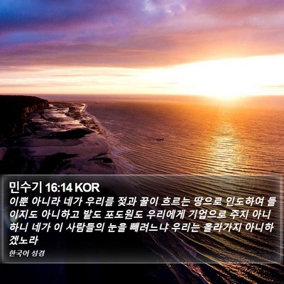 민수기 16:14 KOR Bible Verse Image
