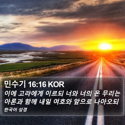 민수기 16:16 KOR Bible Verse Image