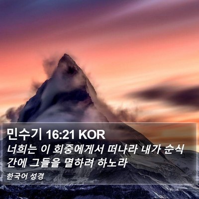 민수기 16:21 KOR Bible Verse Image