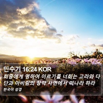 민수기 16:24 KOR Bible Verse Image
