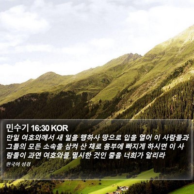 민수기 16:30 KOR Bible Verse Image