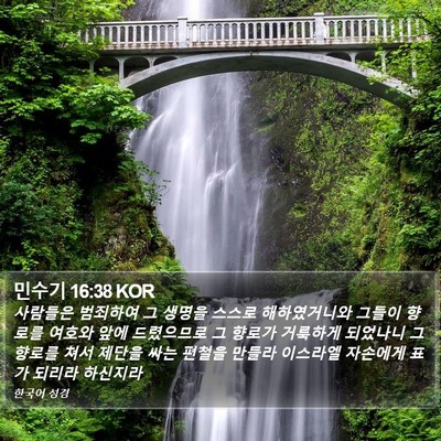 민수기 16:38 KOR Bible Verse Image