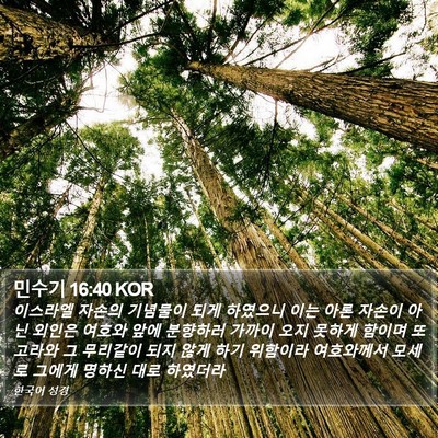 민수기 16:40 KOR Bible Verse Image