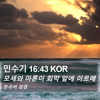 민수기 16:43 KOR Bible Verse Image