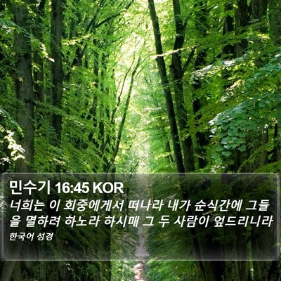민수기 16:45 KOR Bible Verse Image