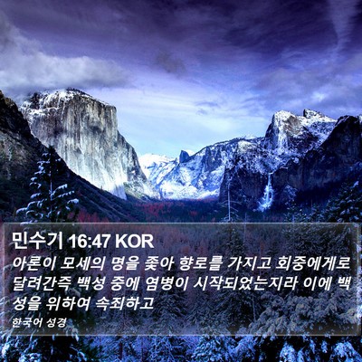 민수기 16:47 KOR Bible Verse Image