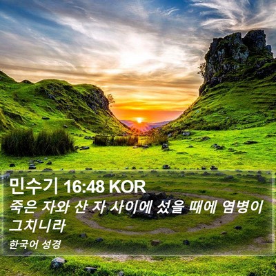 민수기 16:48 KOR Bible Verse Image