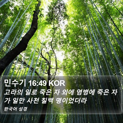 민수기 16:49 KOR Bible Verse Image