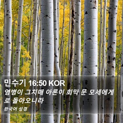 민수기 16:50 KOR Bible Verse Image