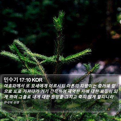 민수기 17:10 KOR Bible Verse Image