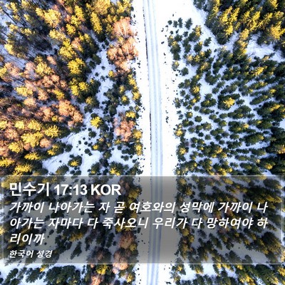 민수기 17:13 KOR Bible Verse Image