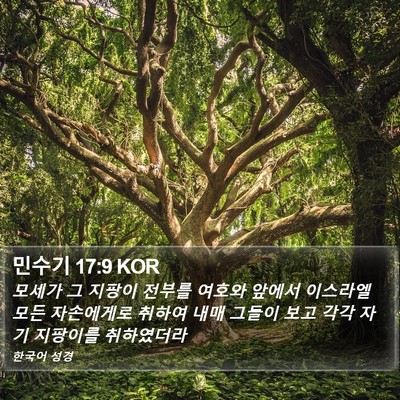 민수기 17:9 KOR Bible Verse Image