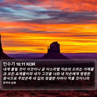 민수기 18:11 KOR Bible Verse Image