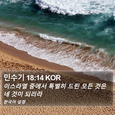 민수기 18:14 KOR Bible Verse Image