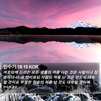 민수기 18:15 KOR Bible Verse Image