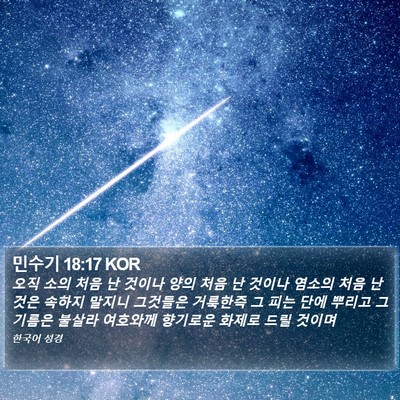 민수기 18:17 KOR Bible Verse Image