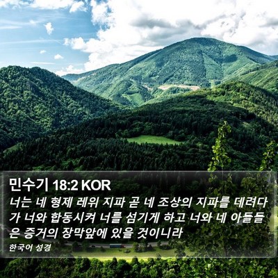 민수기 18:2 KOR Bible Verse Image