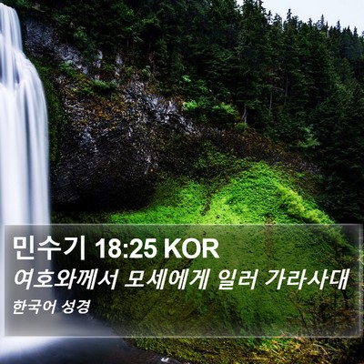 민수기 18:25 KOR Bible Verse Image