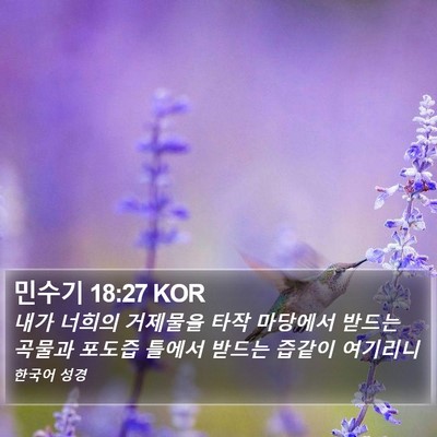 민수기 18:27 KOR Bible Verse Image