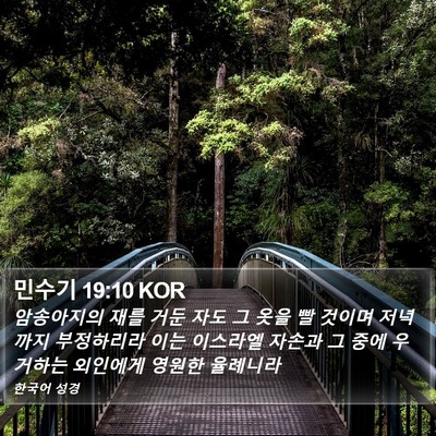 민수기 19:10 KOR Bible Verse Image