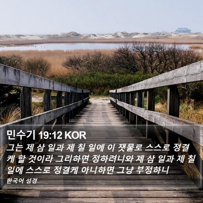 민수기 19:12 KOR Bible Verse Image