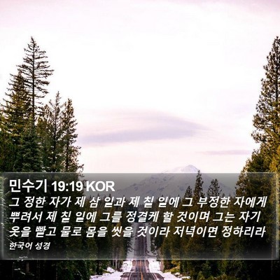 민수기 19:19 KOR Bible Verse Image