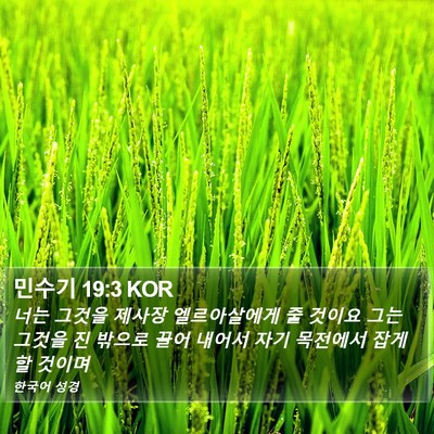 민수기 19:3 KOR Bible Verse Image