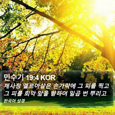 민수기 19:4 KOR Bible Verse Image