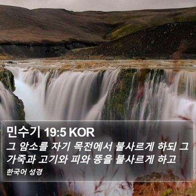 민수기 19:5 KOR Bible Verse Image