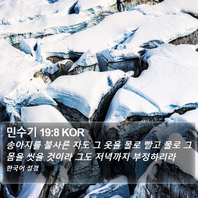 민수기 19:8 KOR Bible Verse Image