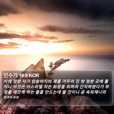 민수기 19:9 KOR Bible Verse Image