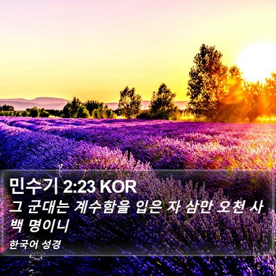 민수기 2:23 KOR Bible Verse Image