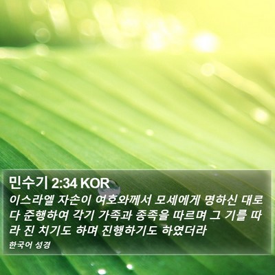 민수기 2:34 KOR Bible Verse Image