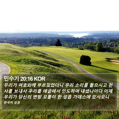 민수기 20:16 KOR Bible Verse Image