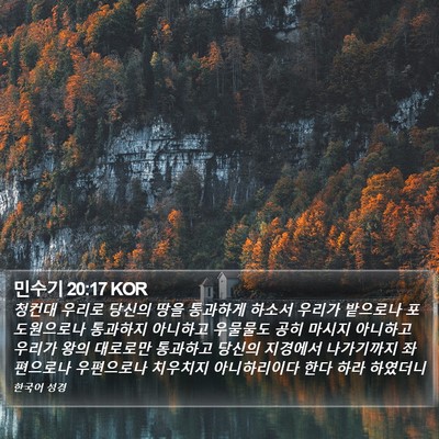 민수기 20:17 KOR Bible Verse Image